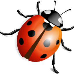 ladybug PNG image-3970